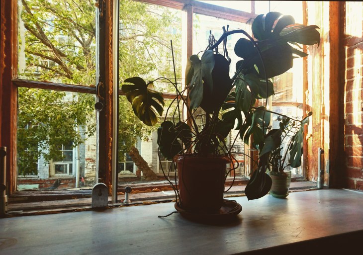 IMG_20170924_195322_671